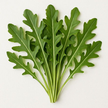 Arugula