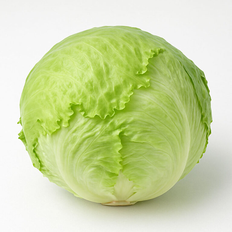 Iceberg-Lettuce