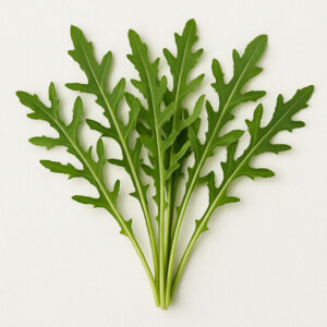 Arugula-(Wild)