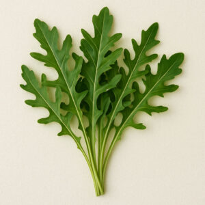 Arugula-(Wild)
