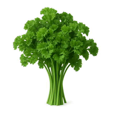 Parsley